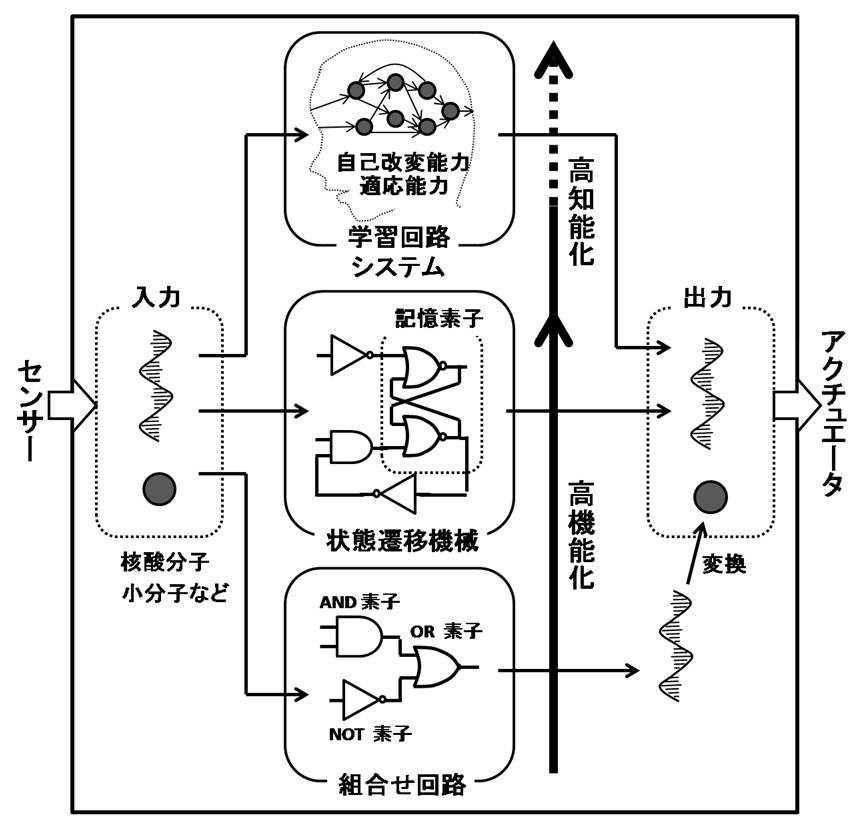 「センサーから入力された環境情報を核酸配列をベースとした回路で変換し、アクチュエータに出力するプロセス」の図