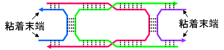 「DNA配列の平面状タイル構造」の図